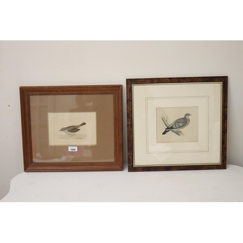 1090 - Two antique hand coloured engravings, Dunnock & Stock dove (2)