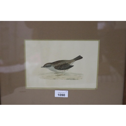 1090 - Two antique hand coloured engravings, Dunnock & Stock dove (2)