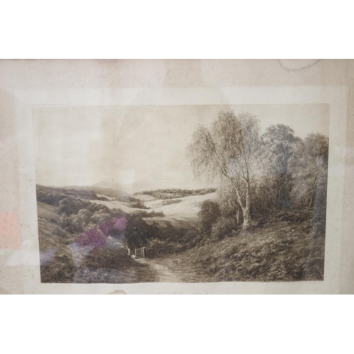 1094 - Antique well framed engraving, Titled Oer Hill & Dale, framed  with a birds eye maple frame with mou... 