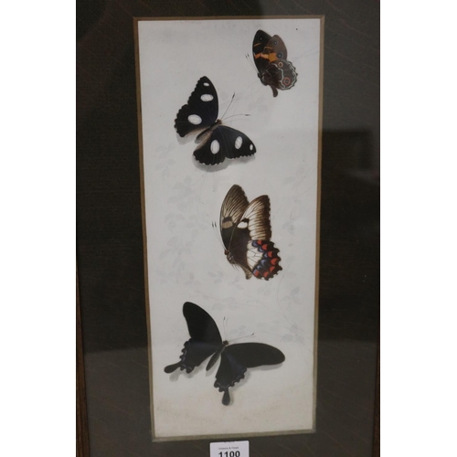 1100 - A Riches, Australian Butterflies, watercolour, signed lower right, approx 39.5 cm 15.5 cm