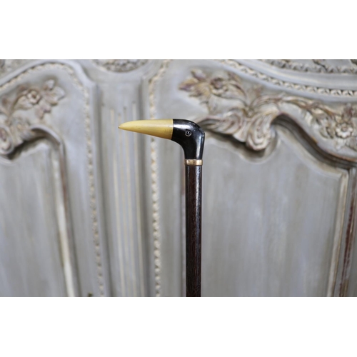 1158 - Fine two colour carved horn bird head walking stick, approx 87cm L