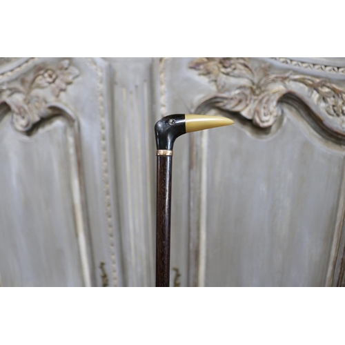 1158 - Fine two colour carved horn bird head walking stick, approx 87cm L
