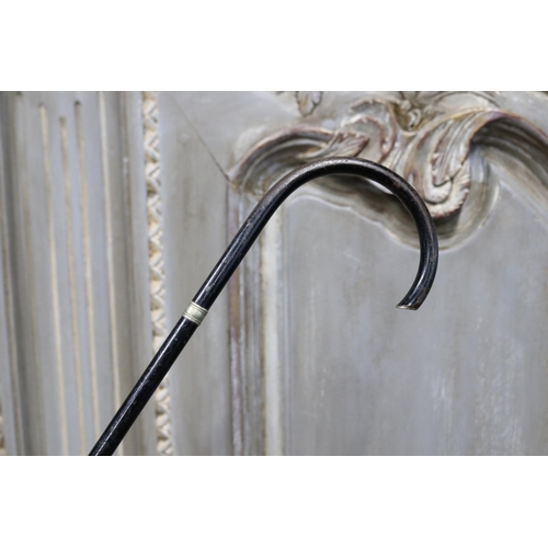 1161 - Unique ladies black metal walking stick, with small nickle mounts, approx 89cm L