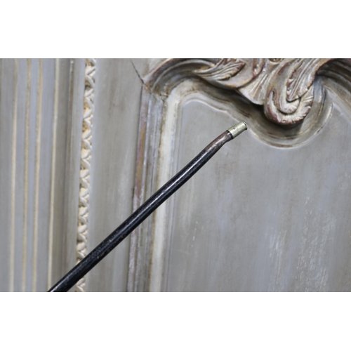 1161 - Unique ladies black metal walking stick, with small nickle mounts, approx 89cm L