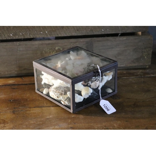 1206 - Small display box with assortment of shells etc, approx 9cm H x 15cm Sq