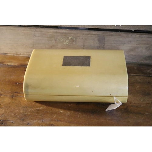 1221 - Large hinged Xylonite box, approx 8cm h x 25cm W x 18cm D