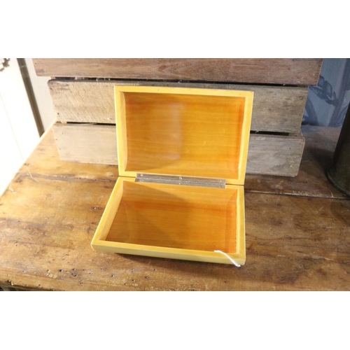 1221 - Large hinged Xylonite box, approx 8cm h x 25cm W x 18cm D