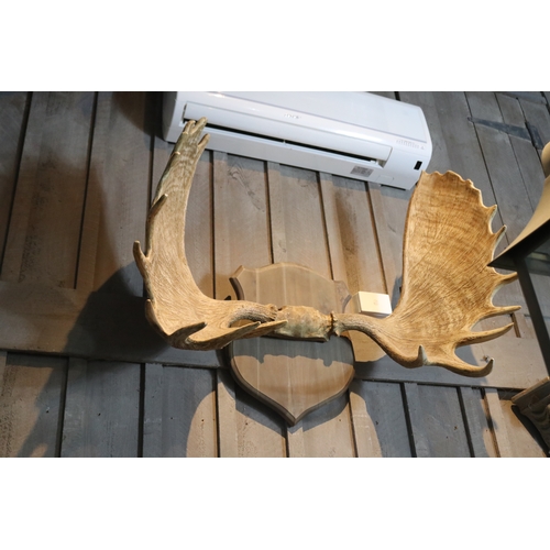 1183 - Set of mounted faux moose antlers, approx 75cm H x 130cm W