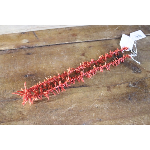 1315 - Coral necklace, approx 62cm L