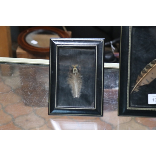 1394 - Three framed feathers, approx 17cm x 12cm and smaller (3)