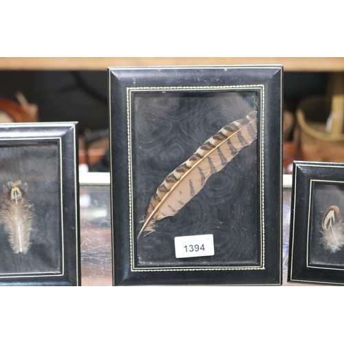 1394 - Three framed feathers, approx 17cm x 12cm and smaller (3)