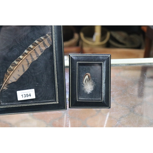 1394 - Three framed feathers, approx 17cm x 12cm and smaller (3)