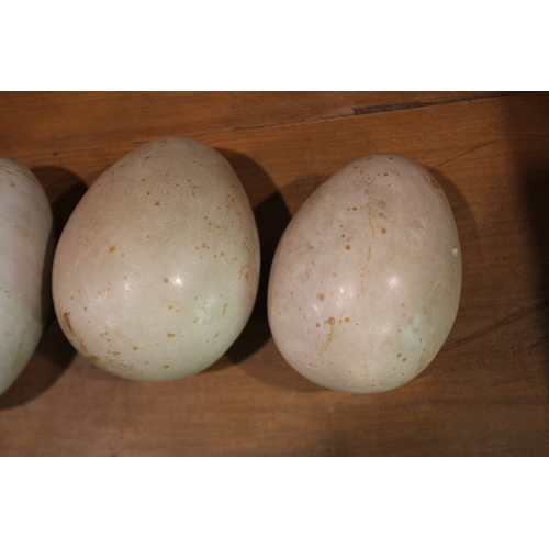 2585 - Three hardstone eggs, approx 13cm L and smaller (3)