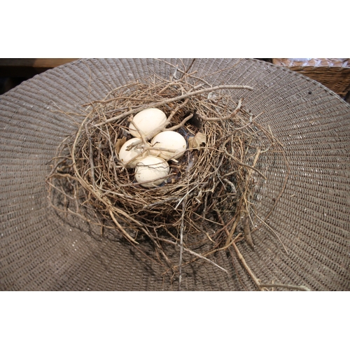 2586 - Birds nest with eggs, approx 44cm W x 35cm D