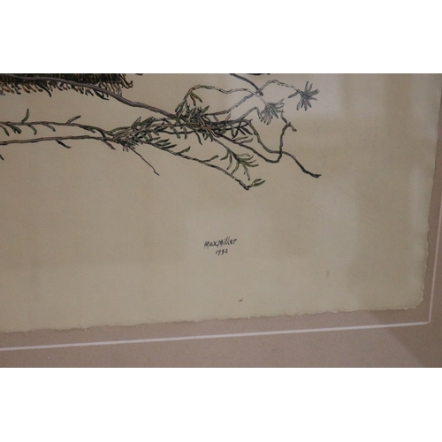 1140 - Max John Miller (1940-2023) Australia, ink and watercolour, Banksia Studies, signed lower right & da... 