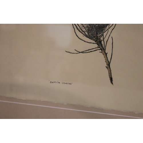 1140 - Max John Miller (1940-2023) Australia, ink and watercolour, Banksia Studies, signed lower right & da... 