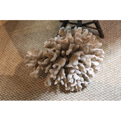 1178 - Large piece of white coral, approx 41cm H  x 62cm W  x 52cm D