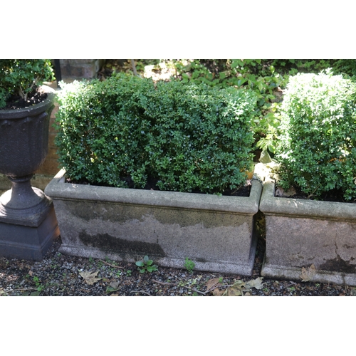 2007 - Pair of composite stone rectangular planters with advanced buxus, approx 98cm W x 99cm H with plant ... 