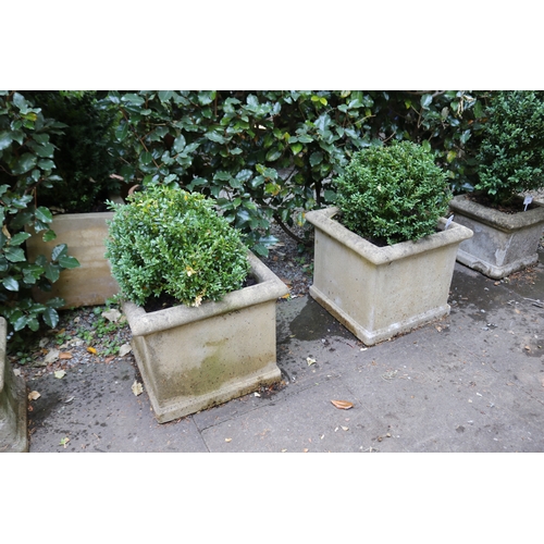 2044 - Pair of square planters in composite stone with ball buxus, approx 47cm Sq x 73cm H total each (2)