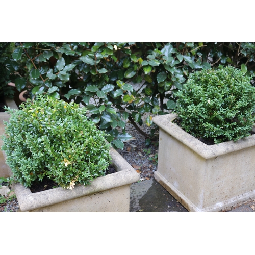 2044 - Pair of square planters in composite stone with ball buxus, approx 47cm Sq x 73cm H total each (2)