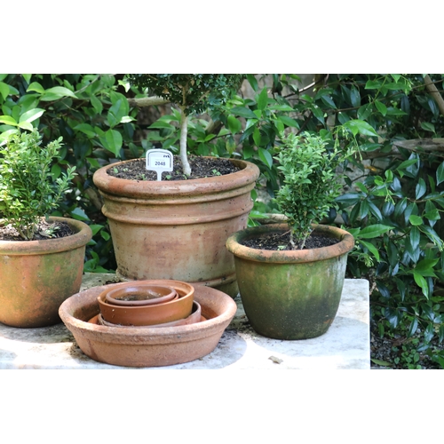 2048 - Three terracotta pots with buxus, along with terracotta saucers, approx 29cm H x 36cm Dia, approx 40... 