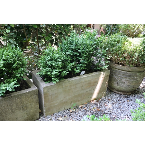 2068 - Modern rectangular composite planter with buxus, approx 90cm W x 40cm Sq, plant 44cm H