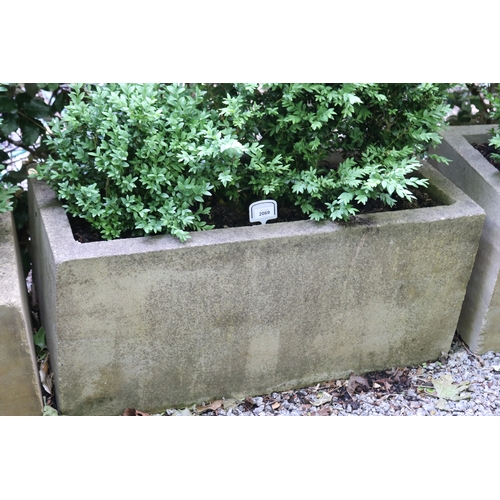 2069 - Modern rectangular composite planter with buxus, approx 90cm W x 40cm Sq, plant 44cm H