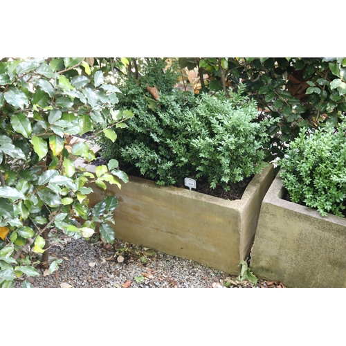 2070 - Modern rectangular composite planter with buxus, approx 90cm W x 40cm Sq, plant 44cm H