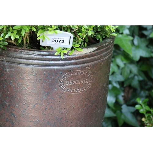 2072 - Antique slat glazed pipe collar, planted with buxus (maker mark), approx Dia 28cm x 58cm H total