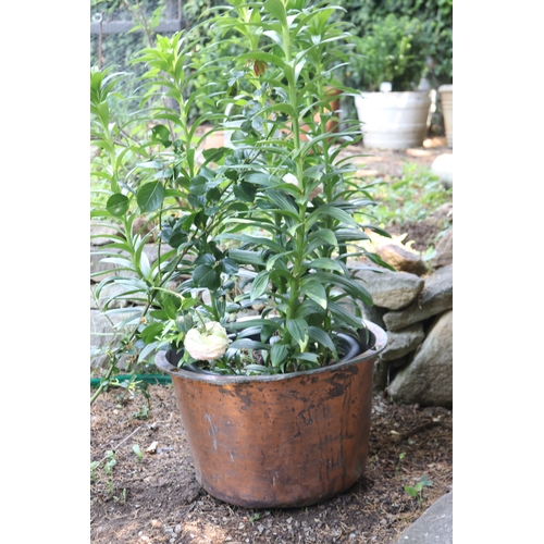 2229 - Old copper with flowers in pot, approx 58cm Dia x 140cm H total