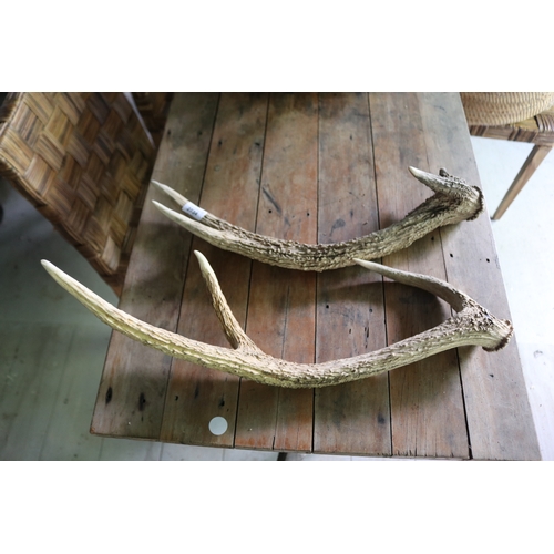 2734 - Pair of antlers, approx 60cm W (2)