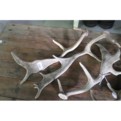 2737 - Four small antlers, approx 49cm W (4)