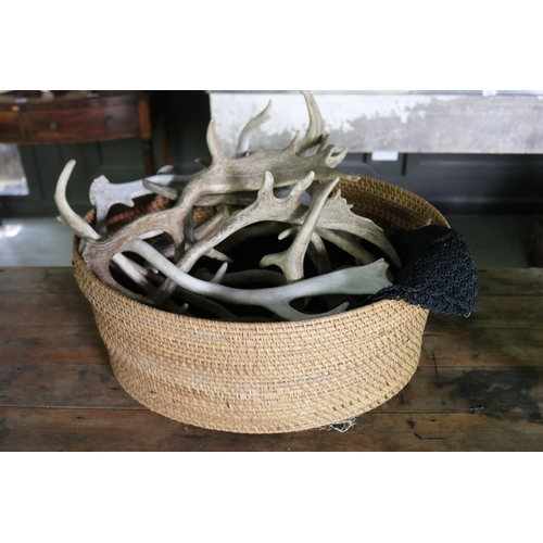 2738 - Twin handled basket with assorted antlers, approx 23cm H x 56cm W x 45cm D
