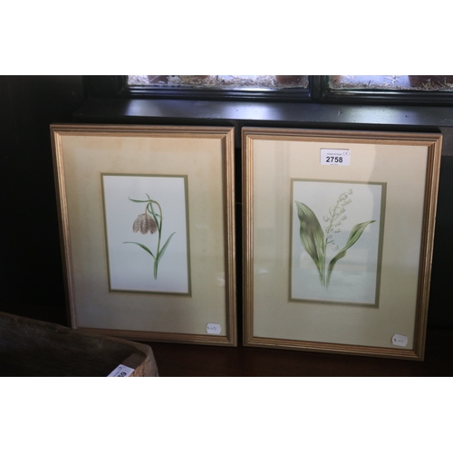 2758 - Pair of botanical coloured prints, Lilly of the valley, Fritillary (2) (in small garden room), appro... 