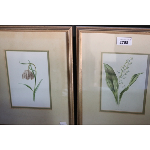 2758 - Pair of botanical coloured prints, Lilly of the valley, Fritillary (2) (in small garden room), appro... 