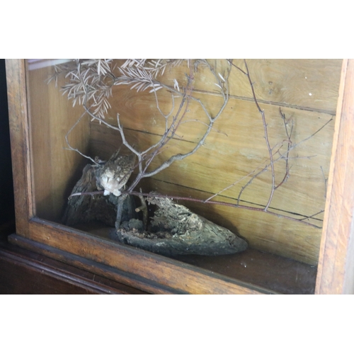 2770 - Antique oak framed glazed diorama with birds on branches, approx 85cm H x 95cm W x 34cm D