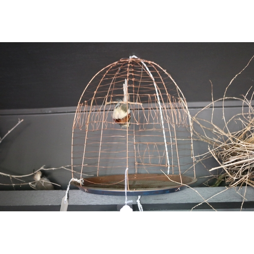 2774 - Birds nests, and copper wire bird cage, approx 37cm H x 35cm Dia and smaller (3)