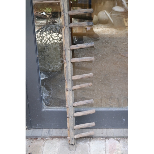 2782 - Unique rustic Australian hardwood peg wall rack, hand whittled pegs