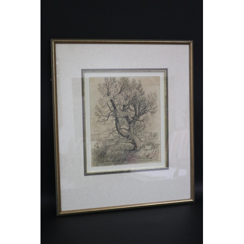 1080 - John Sell Cotman (1782-1842) England, Tree Study, pencil drawing, signed lower left, approx 29.5 cm ... 