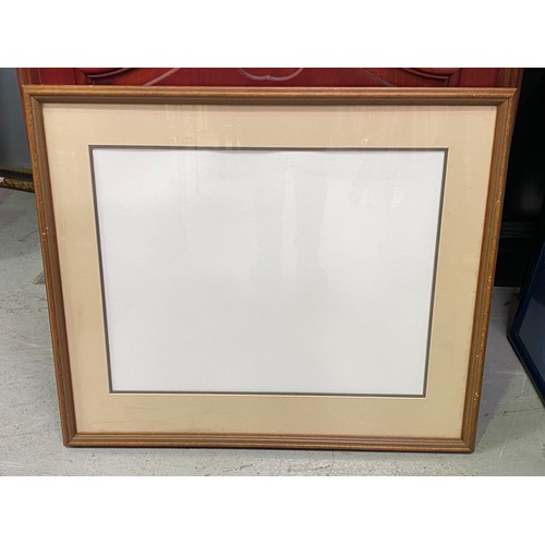 1251 - Good quality timber frame with glass and acid free mounts, excellent condition, approx 63 x 74cm