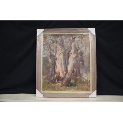1030 - Allan Hanson, Gum trees, oil on board, signed lower right, approx 59cm X 50cm