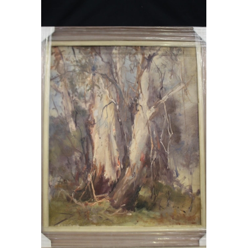 1030 - Allan Hanson, Gum trees, oil on board, signed lower right, approx 59cm X 50cm