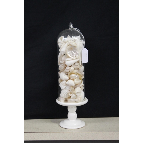 2241 - Shells in glass dome on stand, approx 32cm H including stand