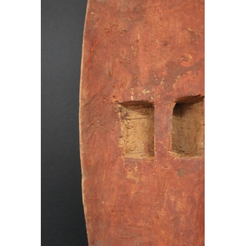 491 - Bobby Tilmouth Pultara, (Australian Aboriginal deceased) Shield, bean tree, 1988, Anmatjere Communit... 