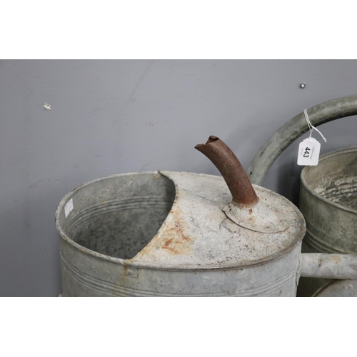 443 - Three French rustic gal metal watering cans, approx 40cm H x 53cm W and smaller (3)