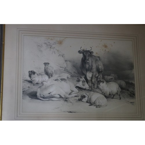 579 - Thomas Sidney Cooper (1803-1902) England, two antique lithographs, Cows and sheep, both signed and d... 