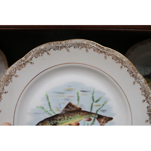 513 - French porcelain fish service, comprising set of 12 plates, each decorated with various species of f... 