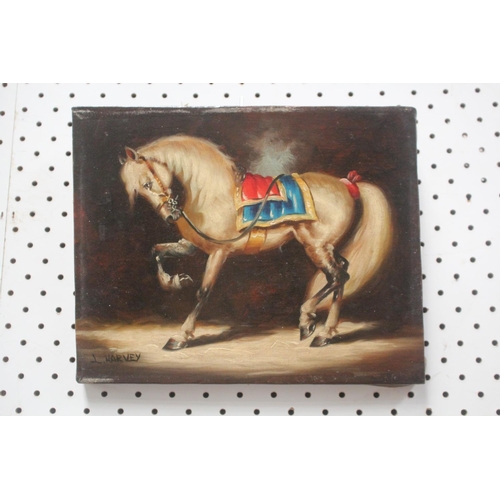 555 - L Harvey, American, Show horse, oil on canvas, signed lower left, approx 20cm x 25cm