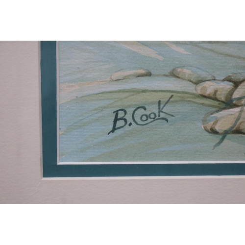 2005 - B Cook, untitled, water colour, signed lower left, approx 73cm H x 94cm W and frame approx 82cm H x ... 