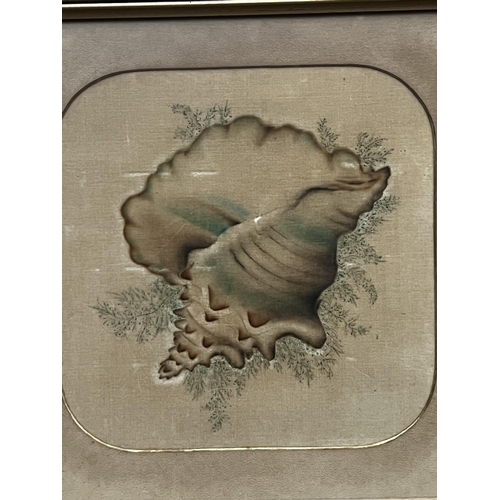 2200 - Shell picture, approx 49cm sq